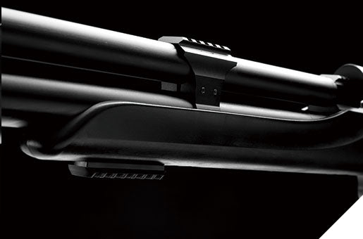 RIFLE PCP SNOWPEAK M25