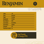 RIFLE PCP BENJAMIN AIRBOW M600 DE FLECHAS MONO-TIRO
