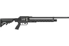RIFLE PCP LCS AIR ARMS SK19